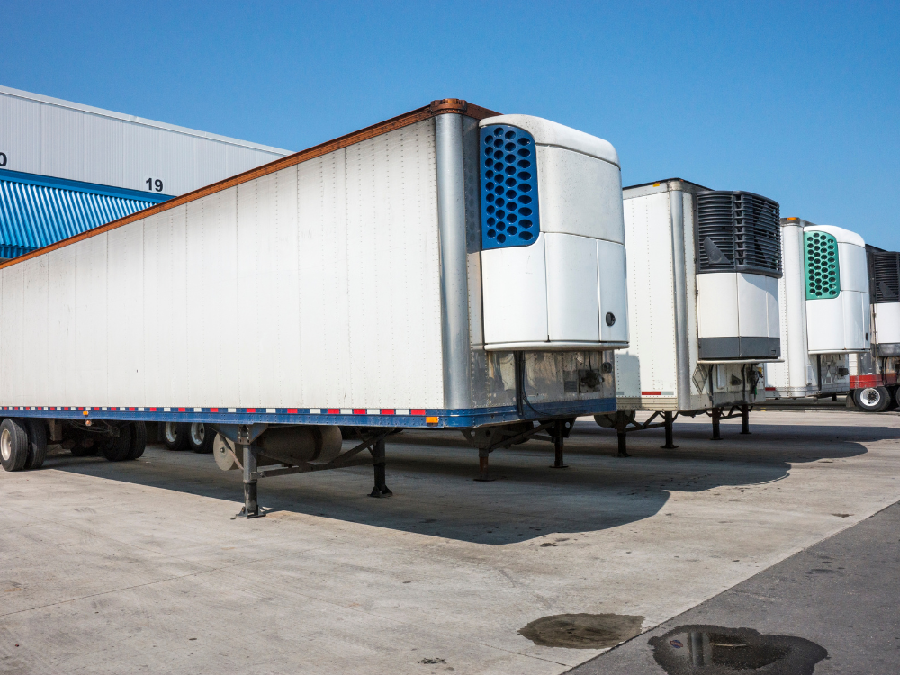 noleggio soluzioni refrigerate