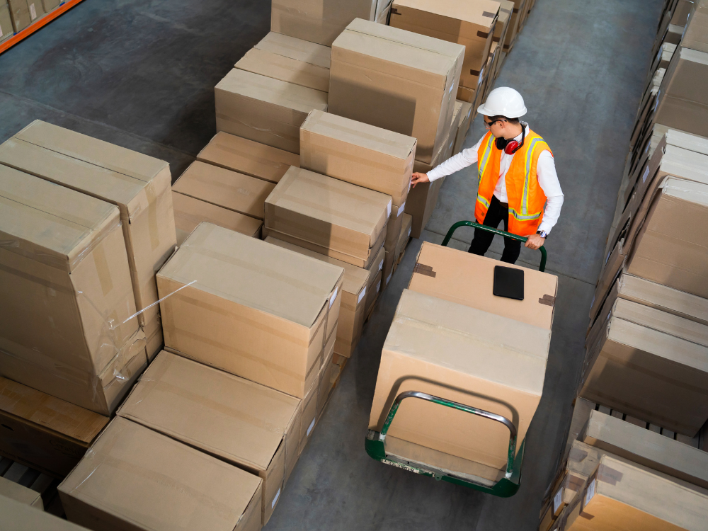 processo operativo logistica